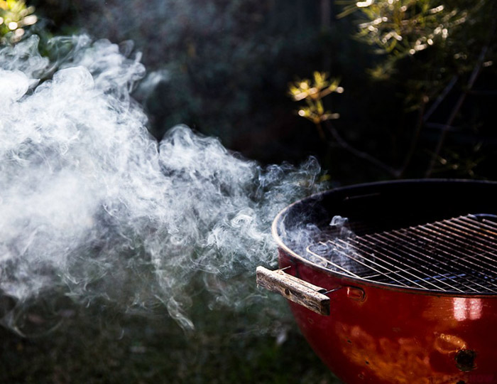 Knjiga Smoke BBQ Grill Centr