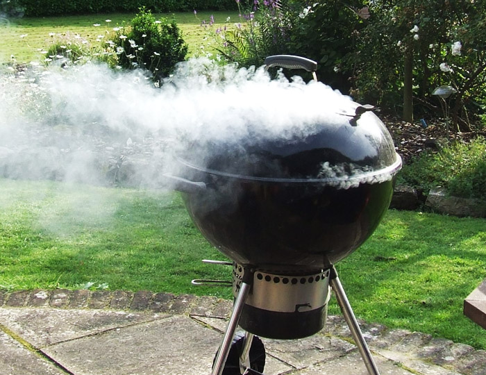 Briqman sečka za dimljenje ribe Grill Centr