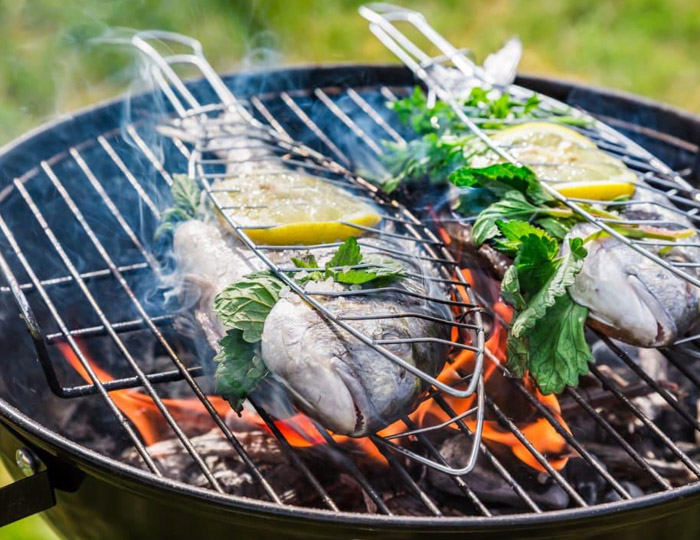 Briqman sečka za dimljenje ribe Grill Centr