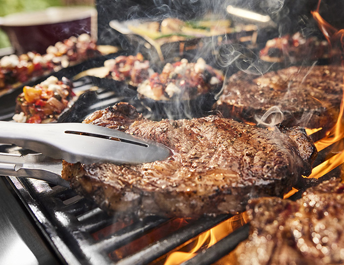 Weber plinskli roštilj Genesis E-415 crni Grill Centr