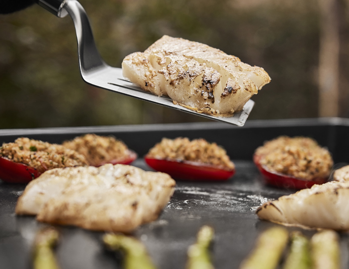 Weber Plancha SLATE GP 76 cm Grill Centr