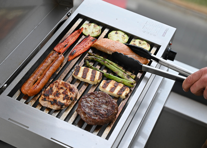 EcoGrill Home S električni roštilji Grill Centr